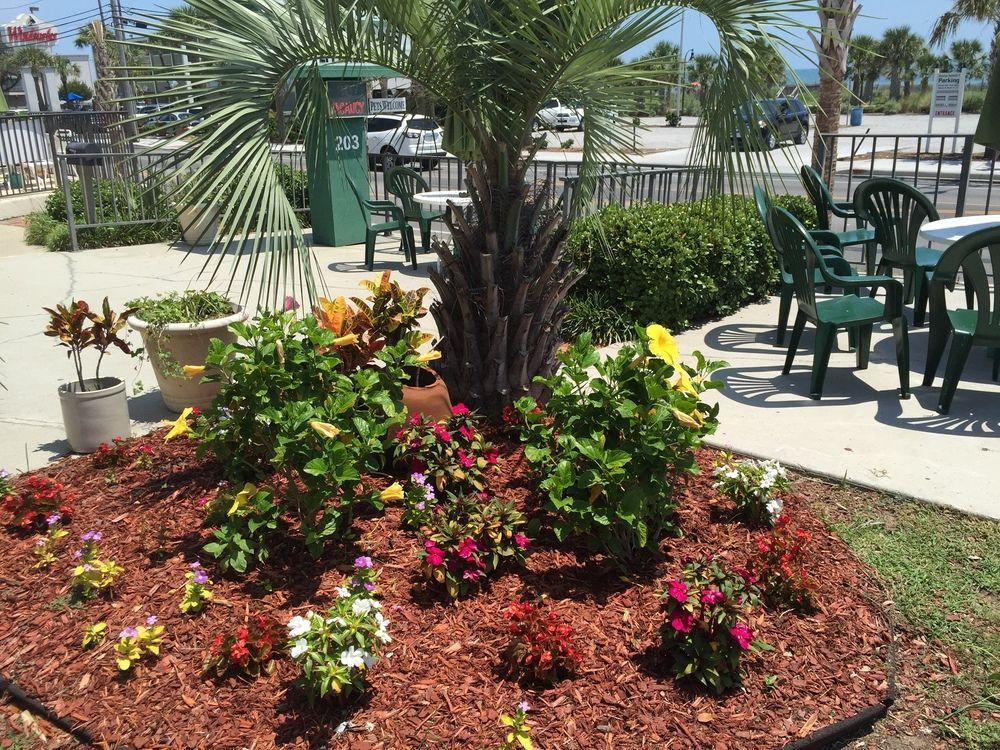 Darlington Inn Myrtle Beach Exterior foto